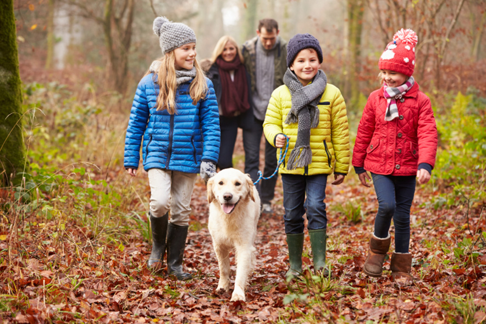 Photo of a family walking through the woods on a Fall day with their golden retriever