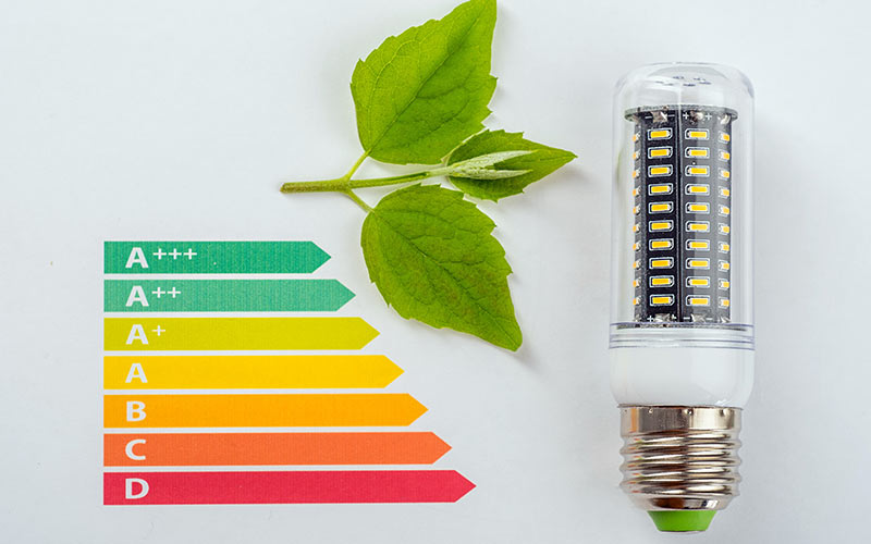 Flat lay photo of colorful strips, a green plant and a light bulb
