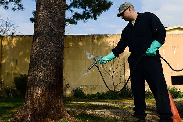 Image of a man in protective gear spraying pest chemicals on a tree