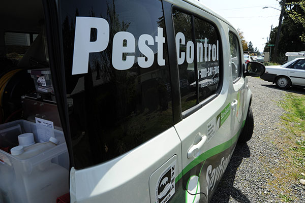 A photo of a pest control van
