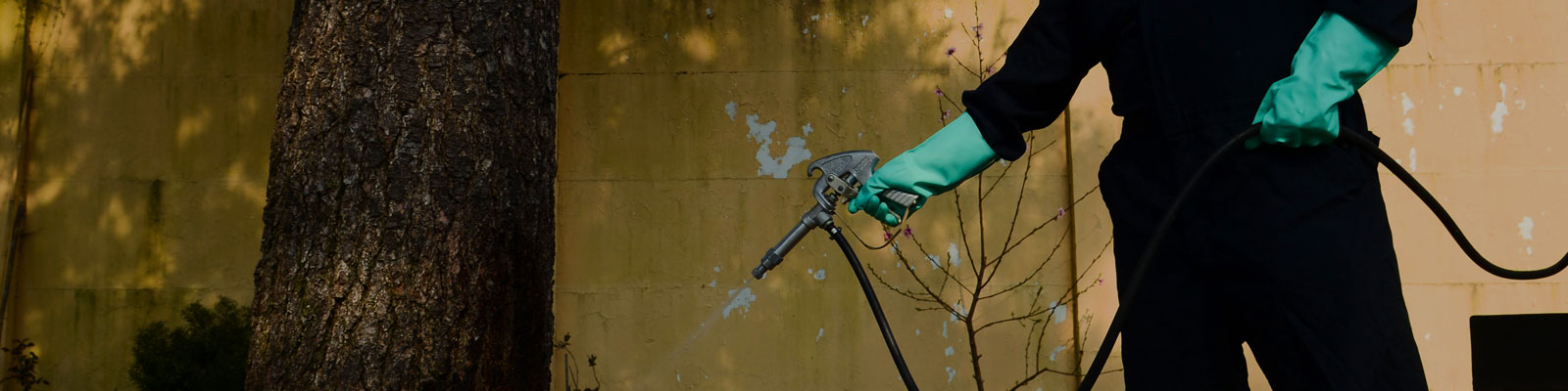 Pest Management Insurance in Quincy MA & South Shore MA Pest Management Insurance in Quincy MA & South Shore MA